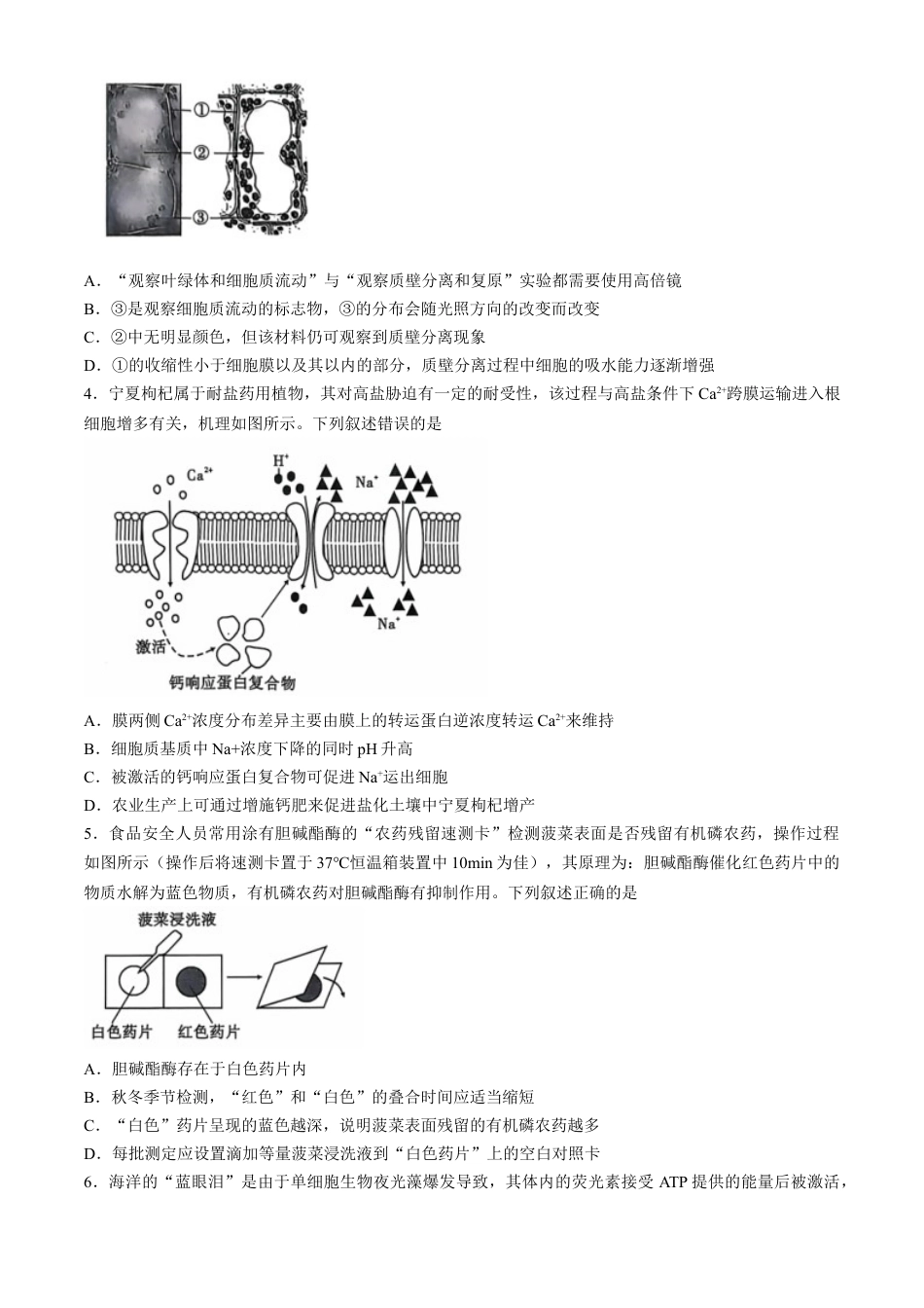 安徽江淮十校2025届高三第二次联考生物试题+答案.docx_第2页