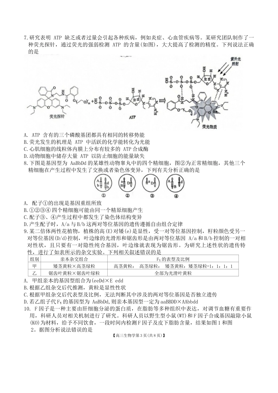 安徽省鼎尖联盟2024-2025学年高三上学期期中考试生物学试题.docx_第3页