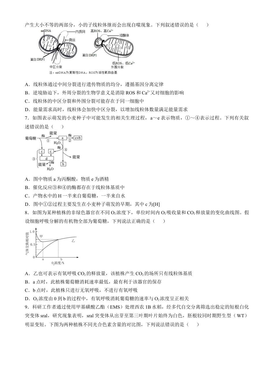 安徽省合肥市第一中学2024-2025学年高三上学期11月教学质量检测试题 生物 Word版含答案.docx_第2页