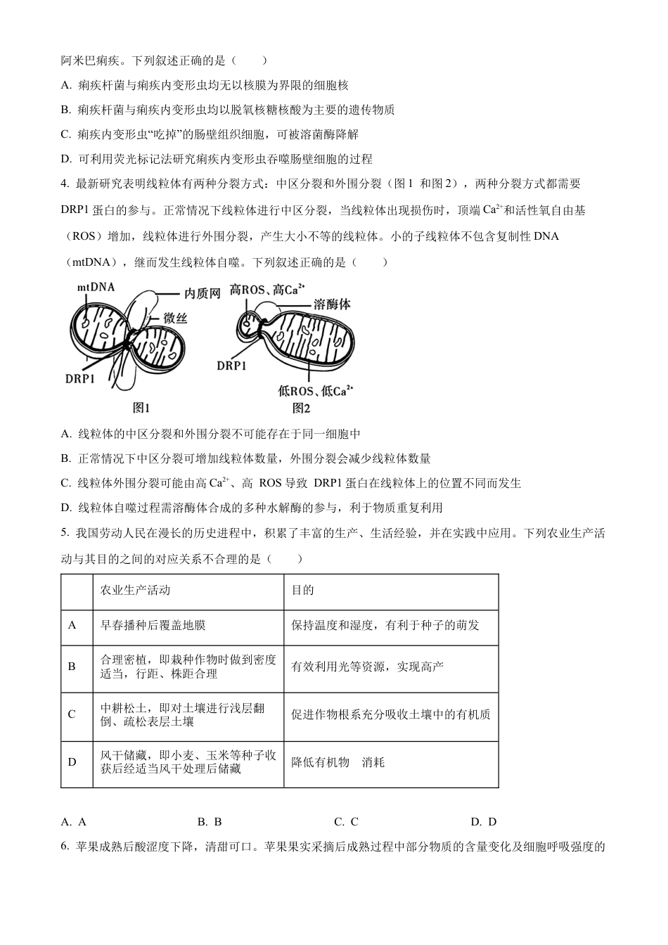 安徽省合肥市一六八中学2024-2025学年高三上学期10月月考试题 生物 Word版含解析.docx_第2页