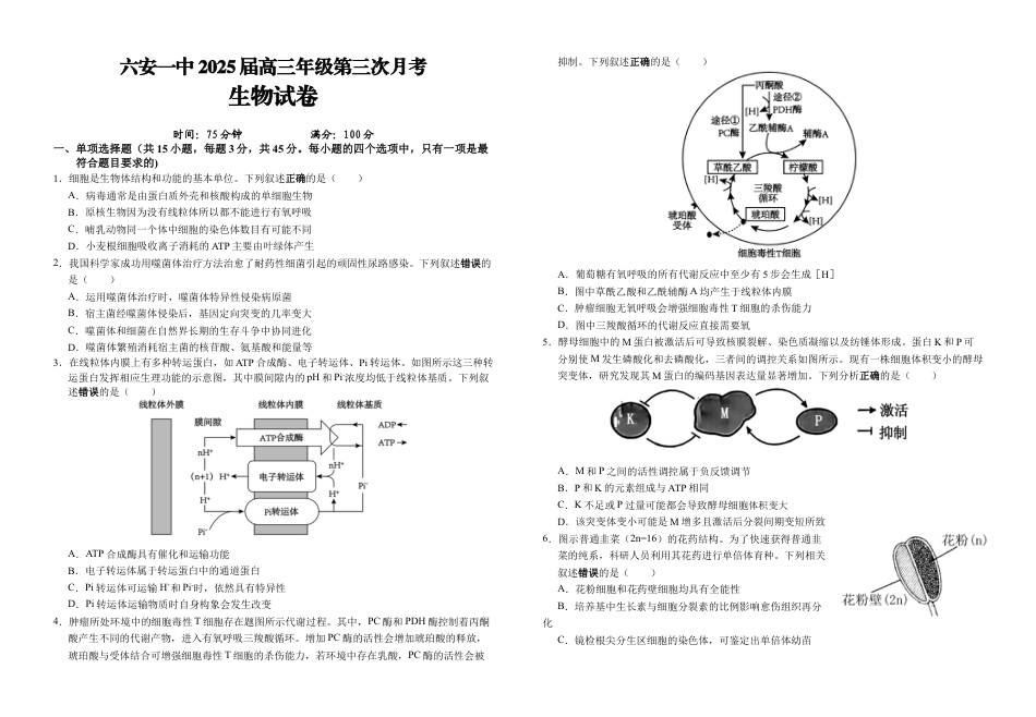 安徽省六安市金安区安徽省六安第一中学2024-2025学年高三上学期11月月考生物试题.docx_第1页