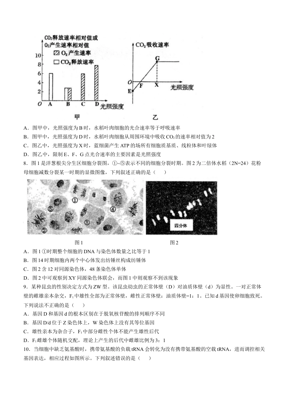 安徽省芜湖市第一中学2024-2025学年高三上学期10月教学质量诊断测试生物学试题（含答案）.docx_第3页