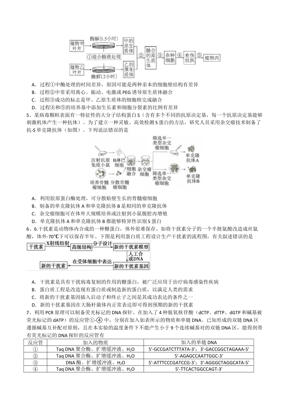 成都石室中学2024-2025学年度上期高2025届定时练习 - 生物试题.docx_第2页