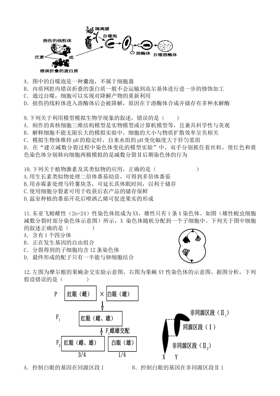 广东省东莞市七校联考2024-2025学年高三上学期12月月考生物.docx_第3页