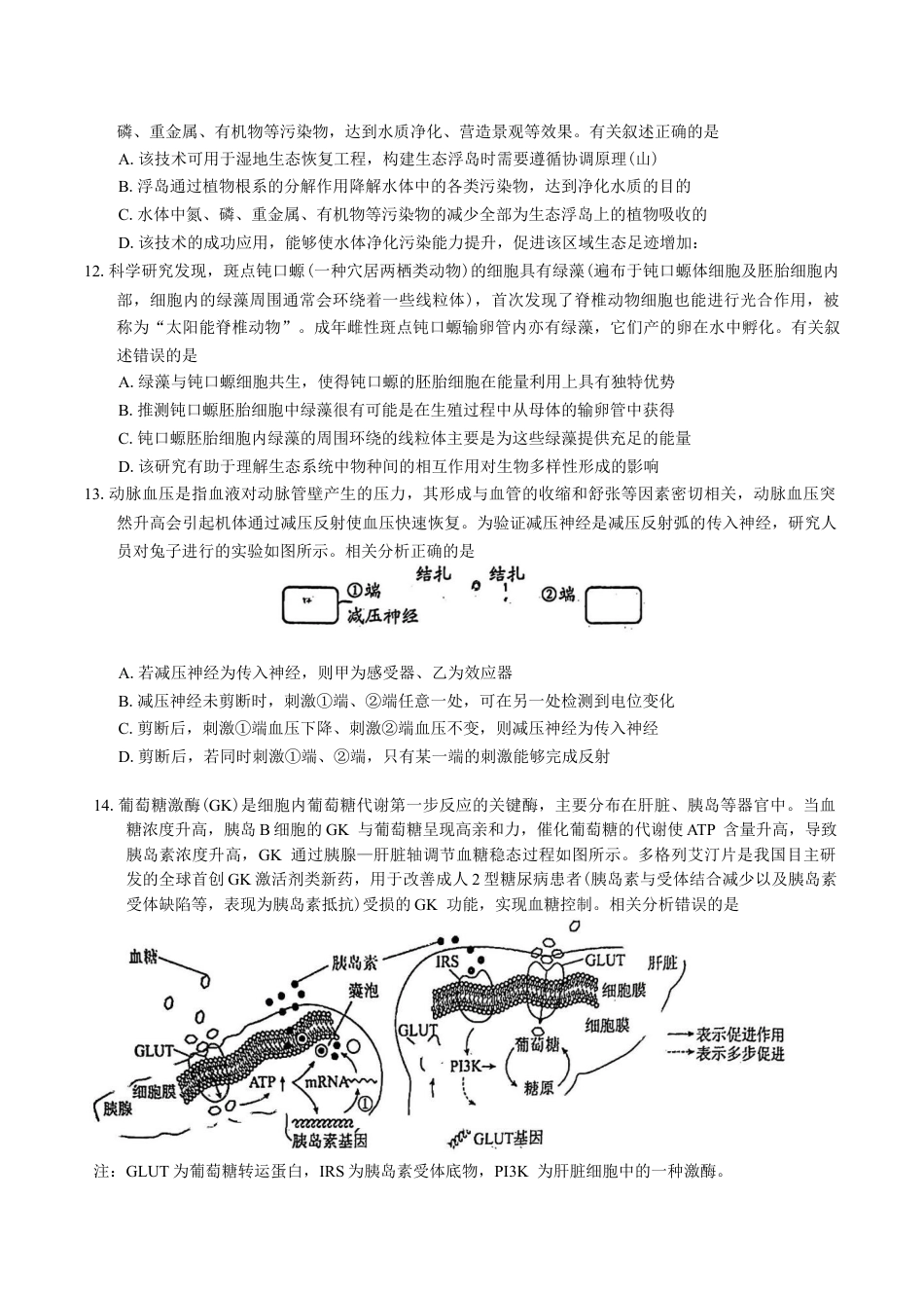 广东省佛山市顺德区2024-2025学年高三教学质量检测 (二)生物学试题（有答案）.docx_第3页
