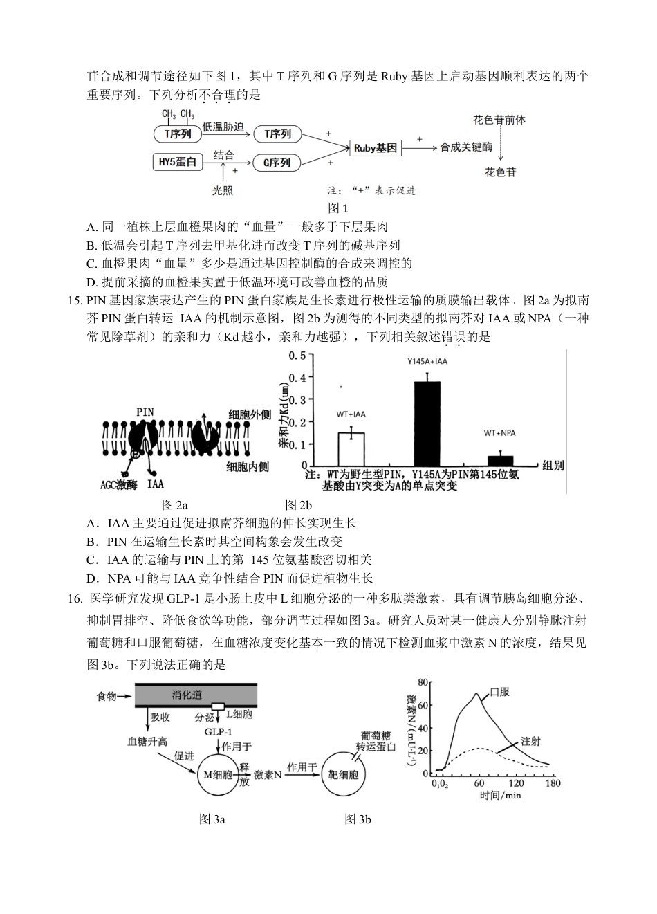 广东省汕头市金山中学2024-2025学年高三上学期期中考试生物试题 Word版含答案_2022级高三 试题（提交版2）.doc_第3页