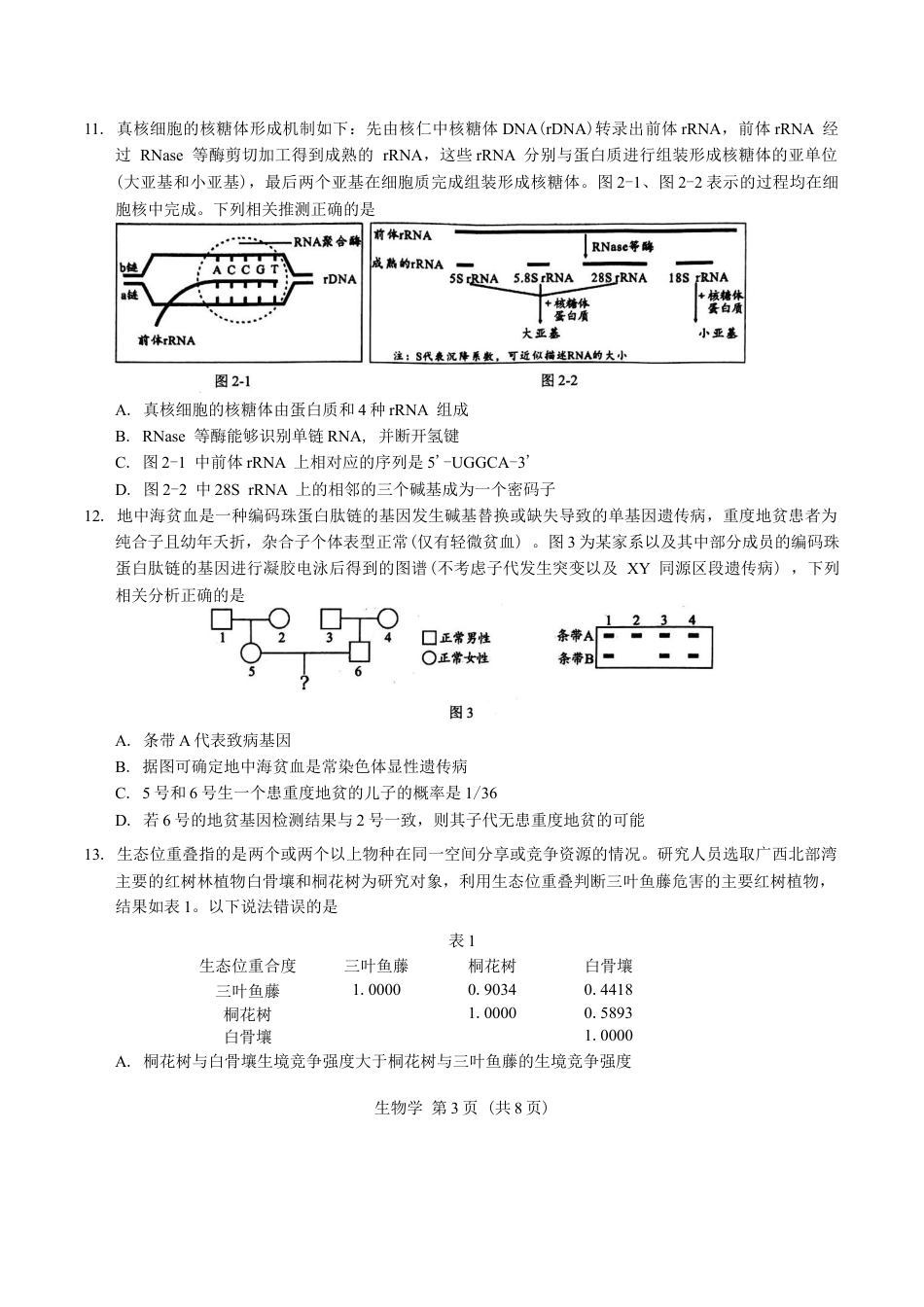 广西柳州市2025届高三第二次模拟考试生物学试题（含答案）.docx_第3页