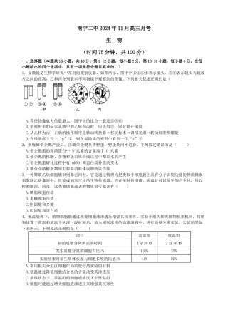 广西南宁市第二中学2024-2025学年高三上学期11月月考生物.docx