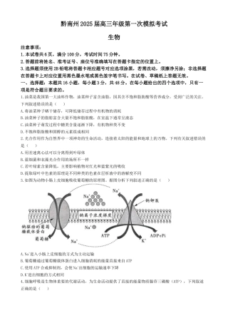 贵州省黔南布依族苗族自治州2025届高三第一次模拟考试生物.docx