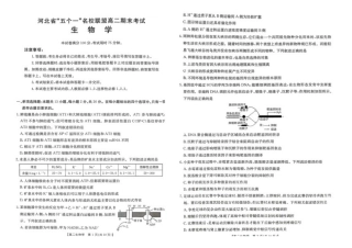 河北省“五个一”名校联盟2024-2025学年高二下学期7月期末生物试题（有答案）.docx