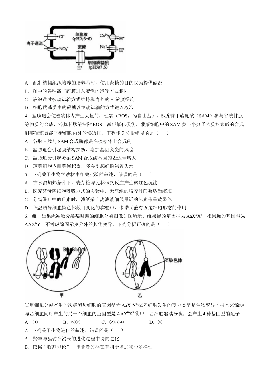 河北省沧州市沧衡名校联盟2024-2025学年高三上学期11月期中生物试题.docx_第2页