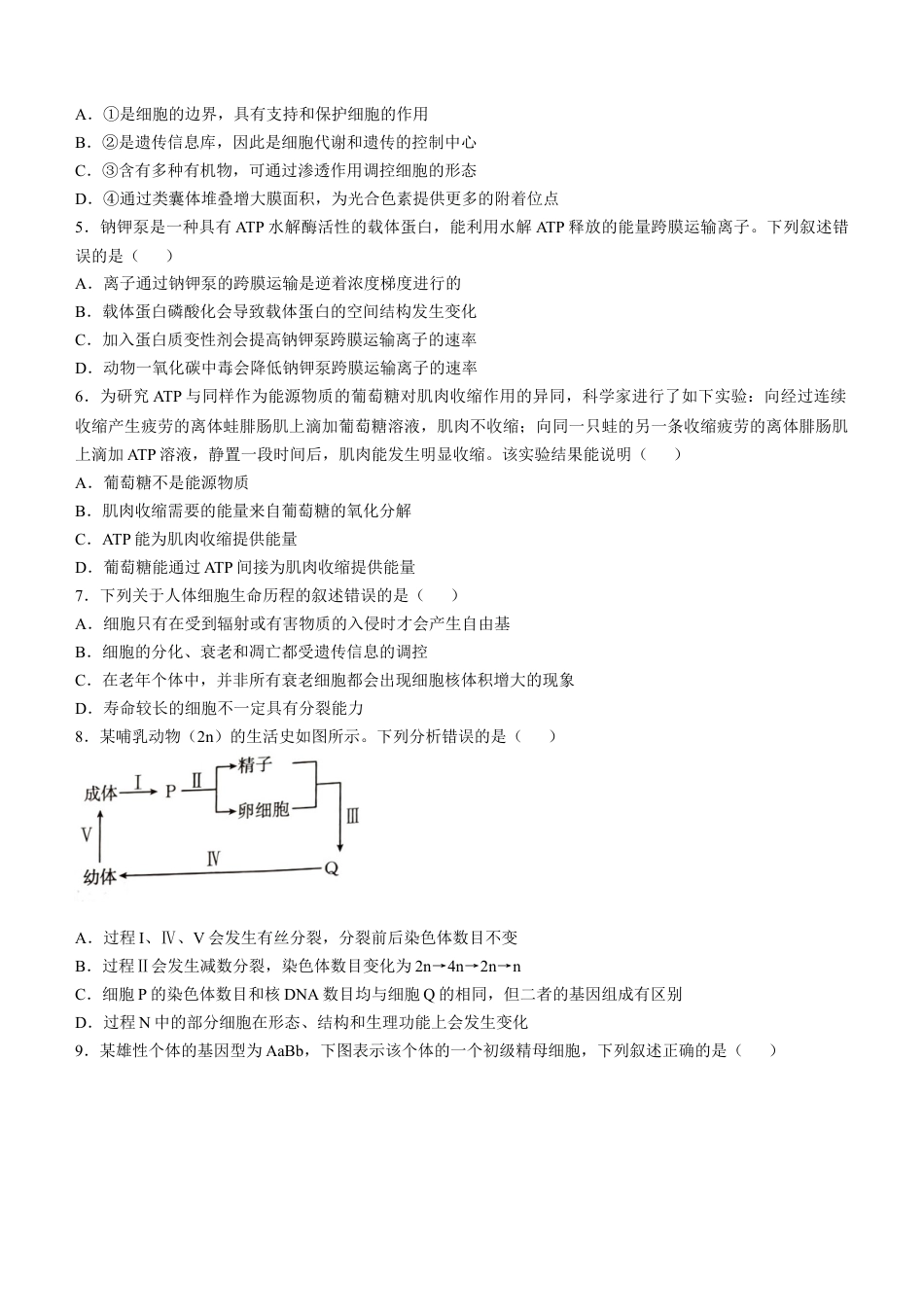 河北省承德市2024-2025学年高三上学期期中考试生物试卷（含答案）.docx_第2页