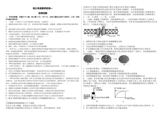 河北省衡水市第二中学2024-2025学年高三上学期素养检测（一）生物.docx