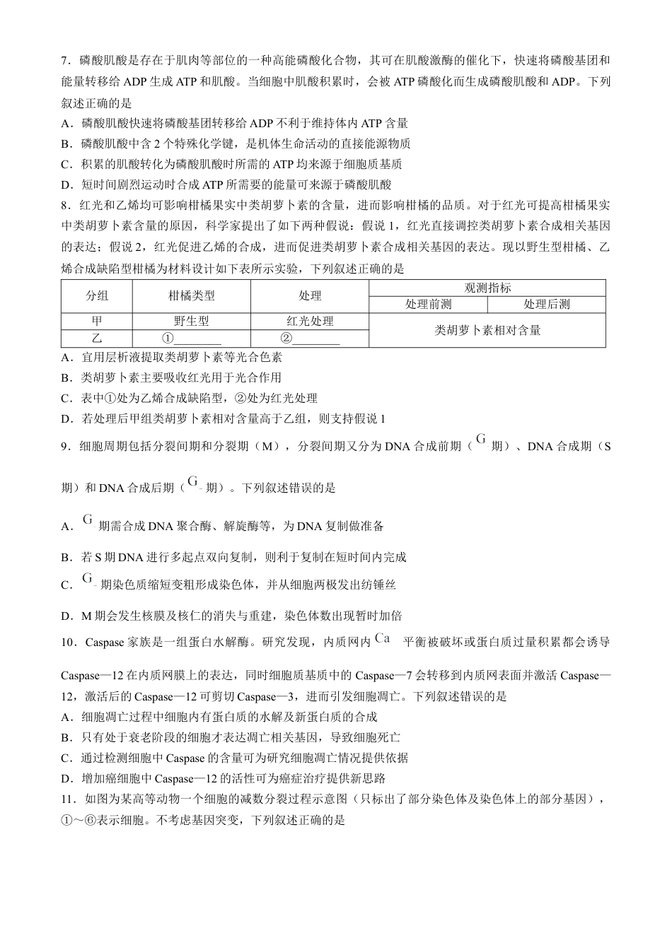 河南省部分重点中学2024-2025学年高三上学期11月质量检测生物试题（含解析）.docx_第3页