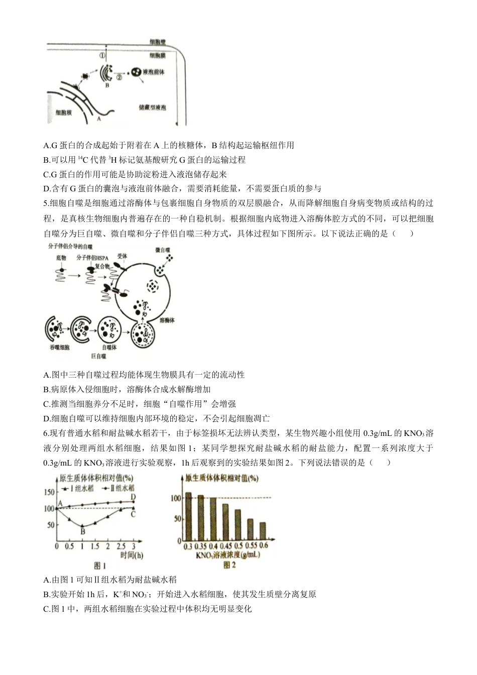 河南省三门峡市2024-2025学年高三上学期11月期中考试 生物 Word版含解析.docx_第2页