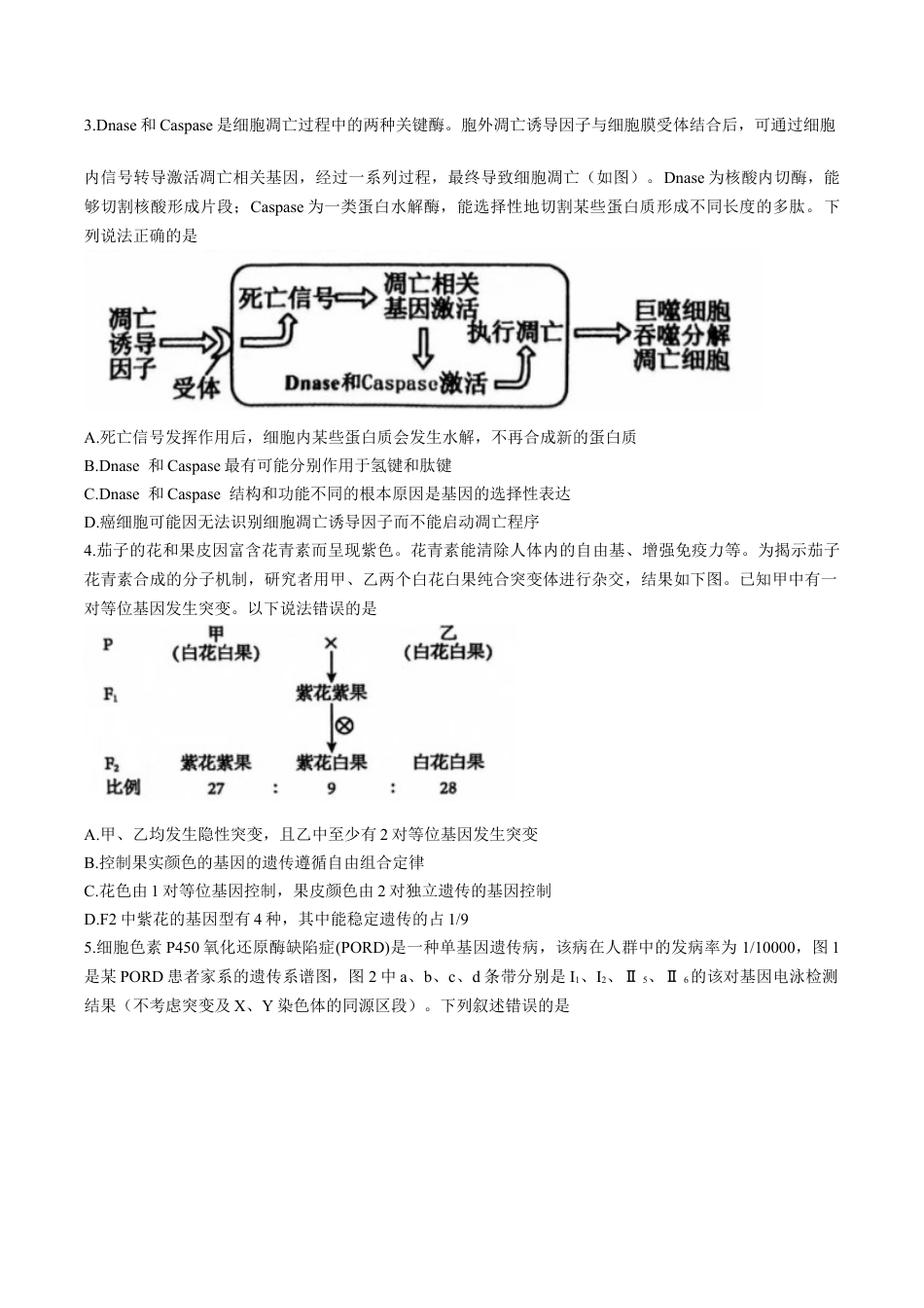 河南省三门峡市2025届高三上学期第一次大练习试题（期末）生物 Word版含解析.docx_第2页