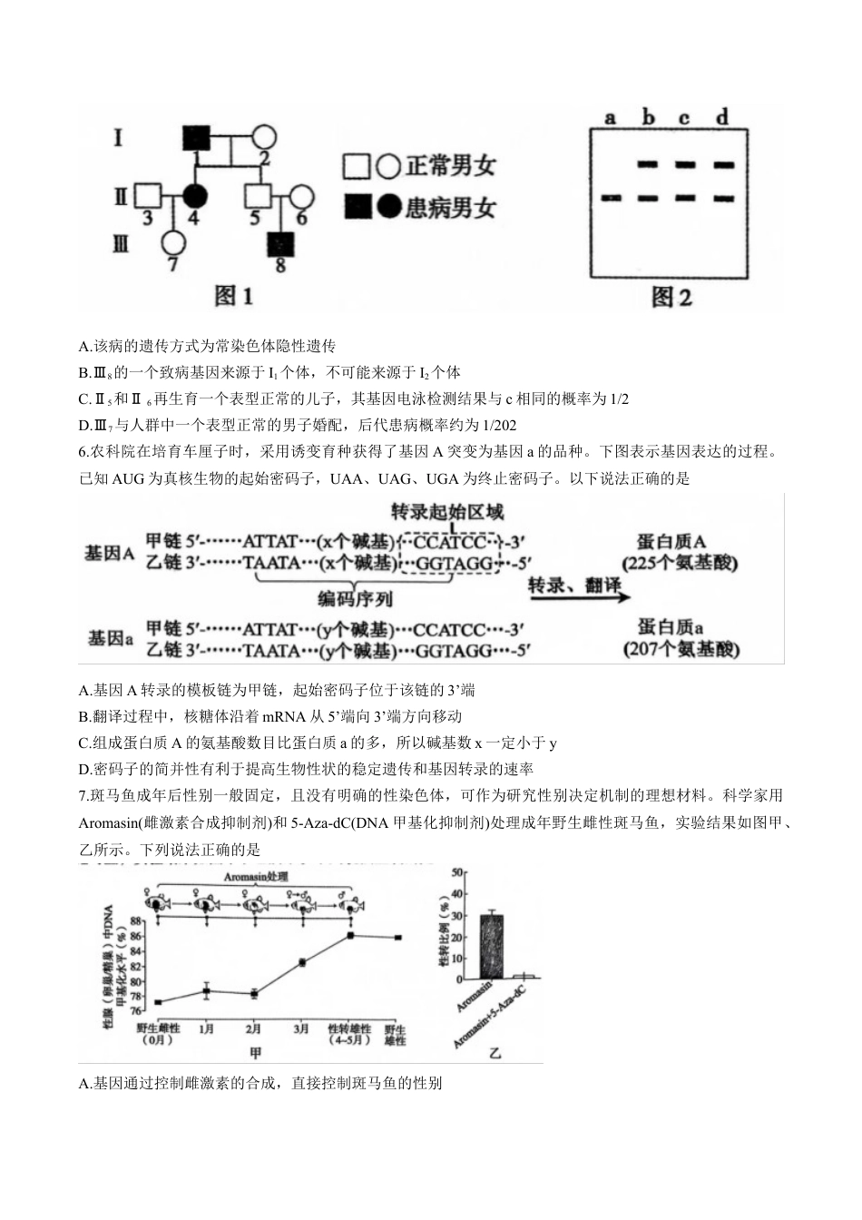 河南省三门峡市2025届高三上学期第一次大练习试题（期末）生物 Word版含解析.docx_第3页