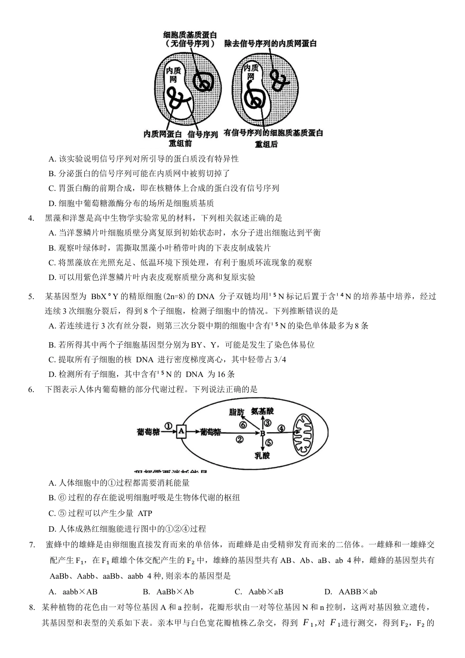 河南省信阳市2024-2025学年普通高中高三第二次教学质量检测生物模拟试题（含答案）.docx_第2页
