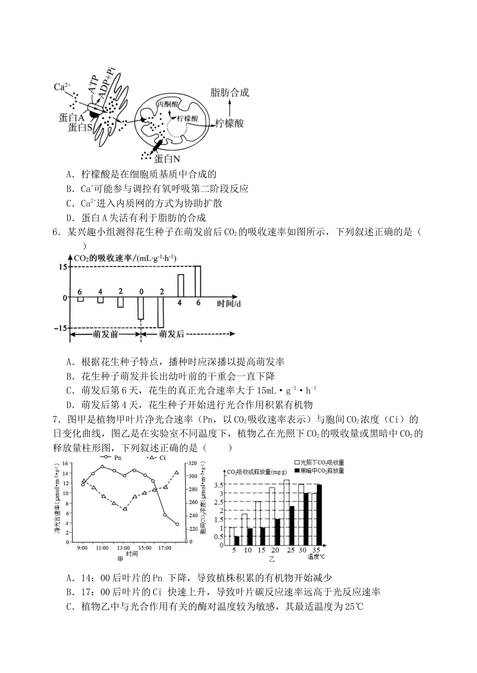 黑龙江省牡丹江市省级示范高中2024-2025学年高三上学期期中考试 生物 Word版含答案.docx_第2页