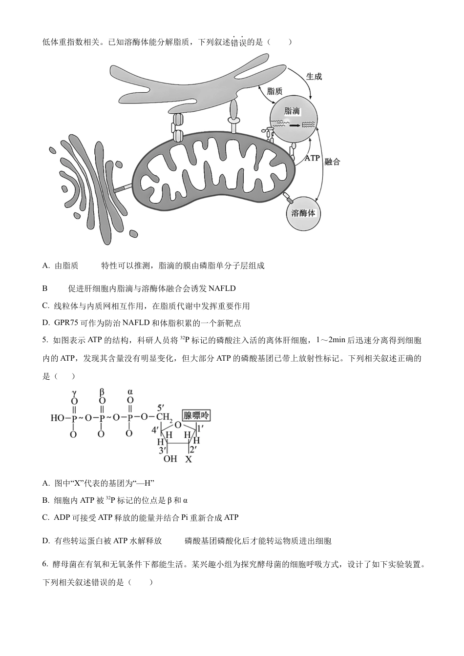 黑龙江省齐齐哈尔市龙西北高中名校联盟2025-2026学年高三上学期开学生物试题（含答案）.docx_第2页