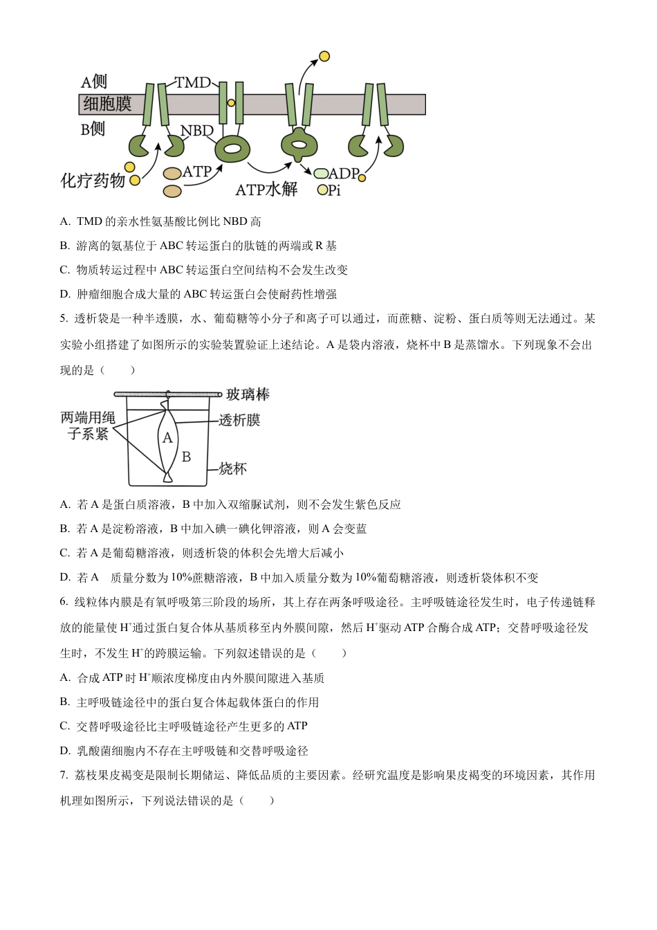 黑龙江省绥化市绥棱县第一中学2024-2025学年高三上学期10月月考生物试题.docx_第2页