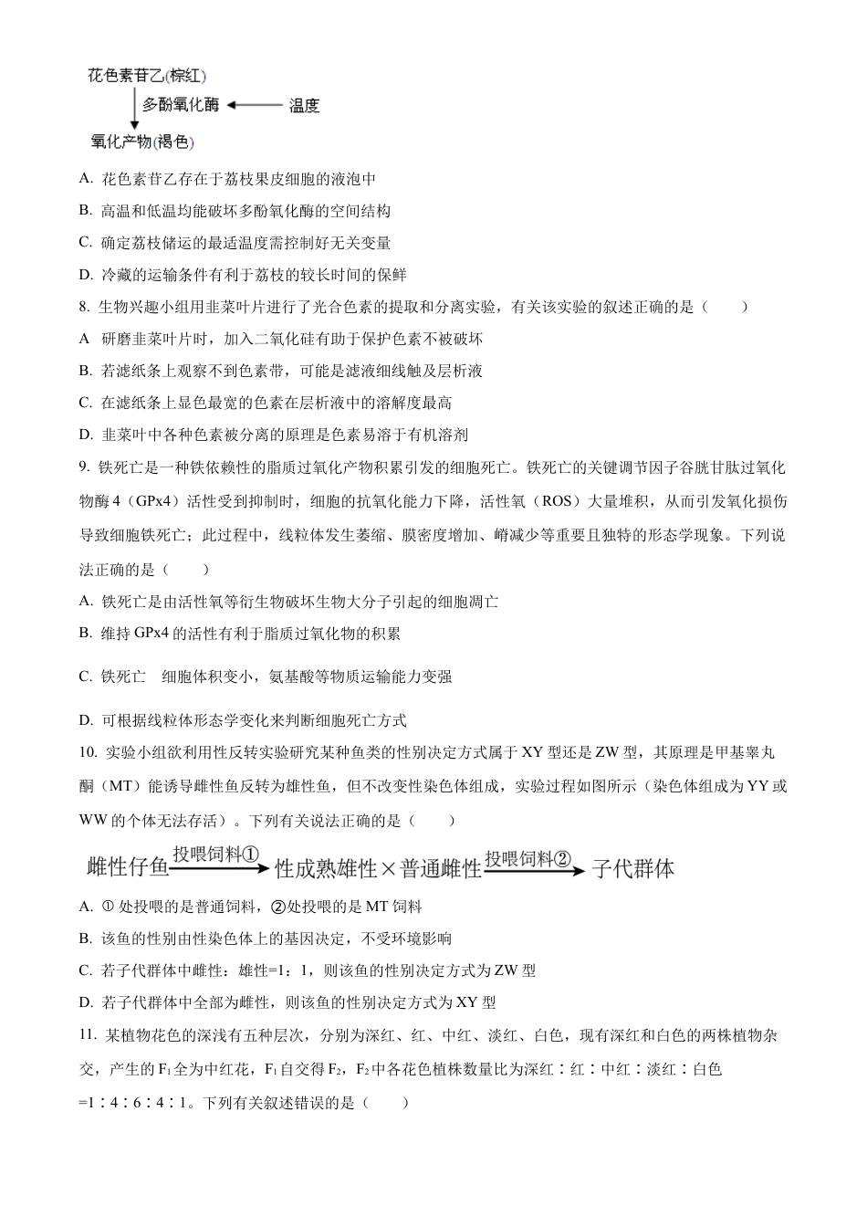 黑龙江省绥化市绥棱县第一中学2024-2025学年高三上学期10月月考生物试题.docx_第3页