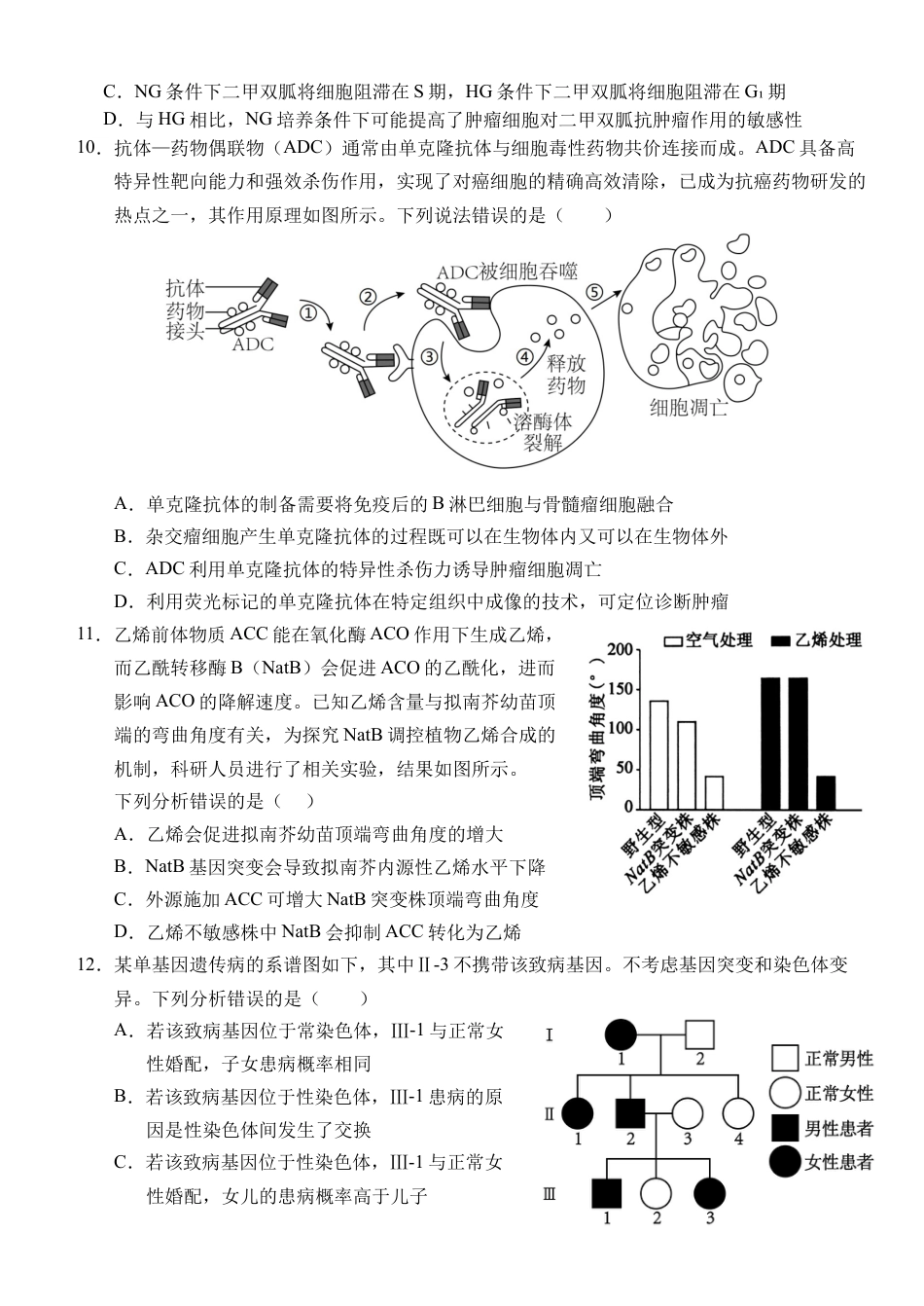 湖北省荆州市沙市中学2024-2025学年高三上学期12月月考生物+答案.docx_第3页