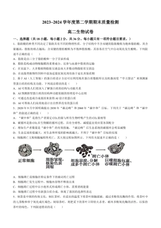 湖北省武汉市江岸区2023-2024学年高二下学期7月期末生物试题 Word版含答案.docx