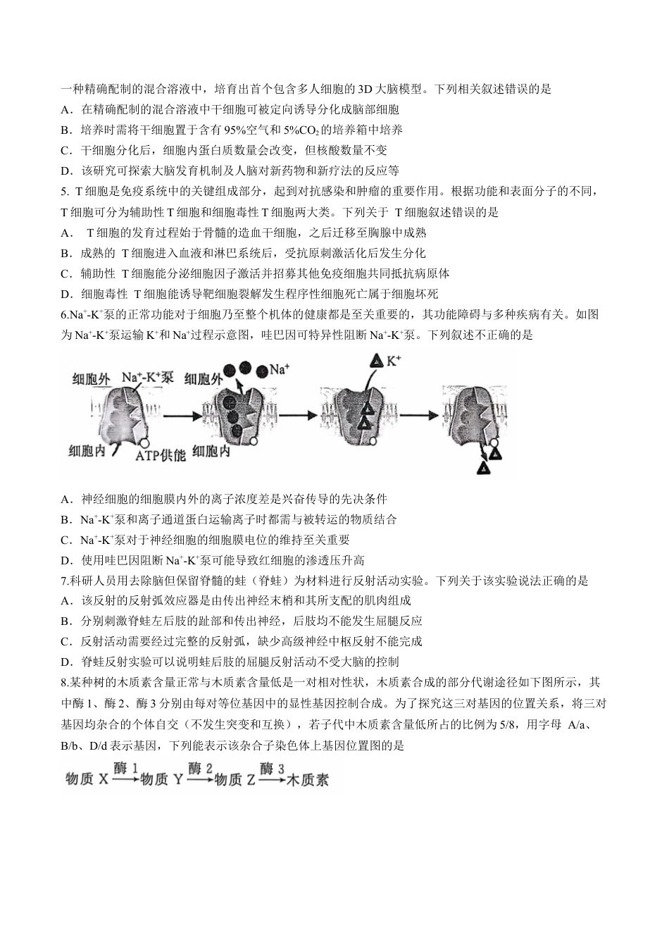 湖北省武汉市江岸区2024-2025学年高三上学期11月调考生物试卷（有答案）.docx_第2页