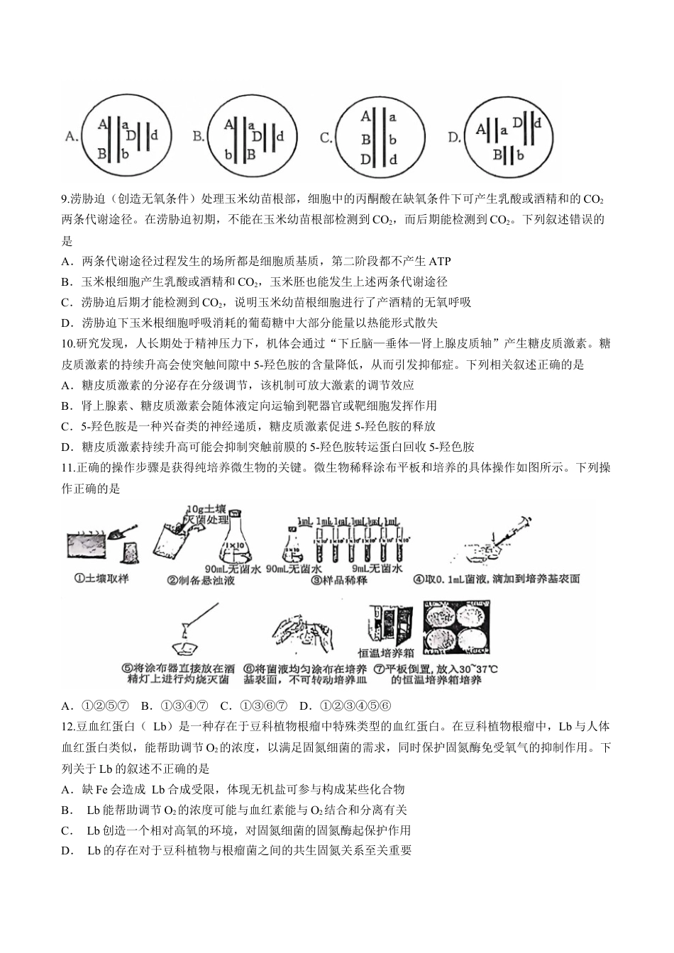 湖北省武汉市江岸区2024-2025学年高三上学期11月调考生物试卷（有答案）.docx_第3页