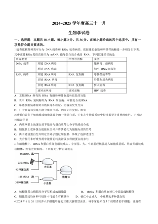 湖北省武汉市江岸区2024-2025学年高三上学期11月调考生物试卷（有答案）.docx