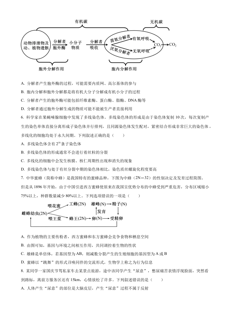 湖北省武汉外国语学校2025届高三上学期10月考试生物试题 Word版无答案.docx_第2页