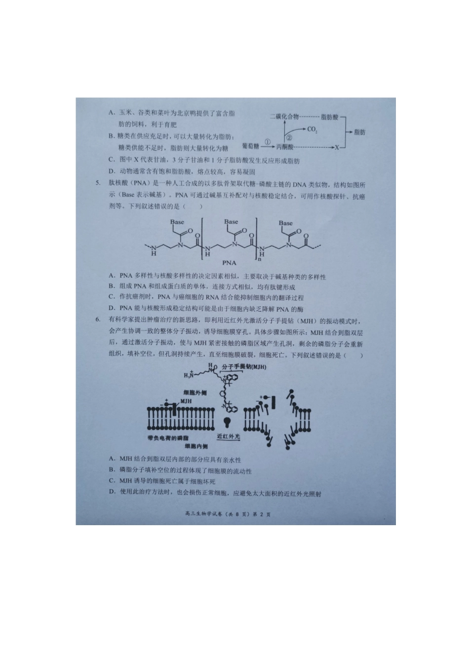 湖北省新高考协作体2024-2025学年高三上学期11月期中生物试题.docx_第2页