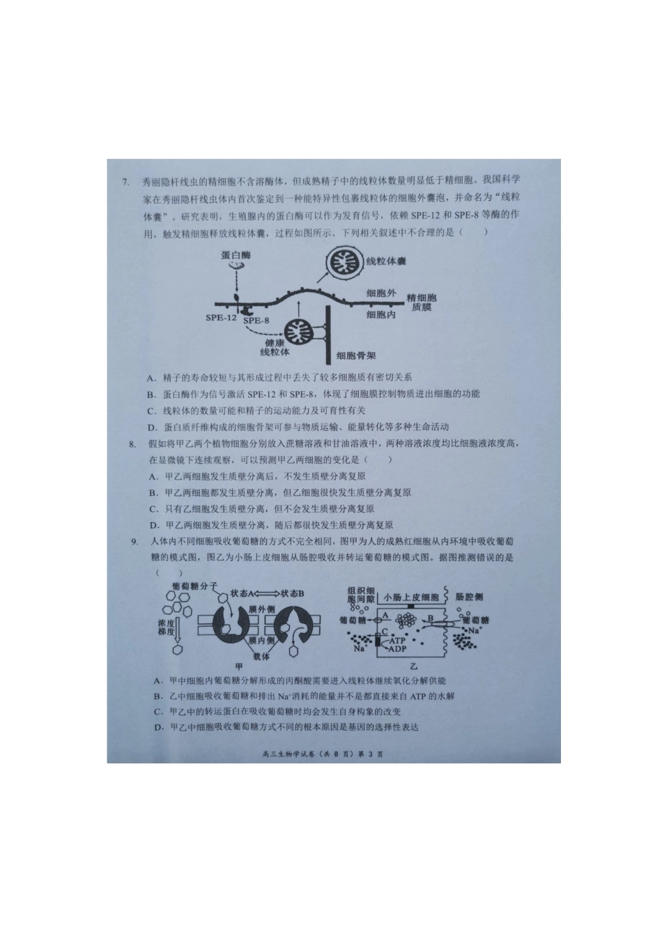湖北省新高考协作体2024-2025学年高三上学期11月期中生物试题.docx_第3页