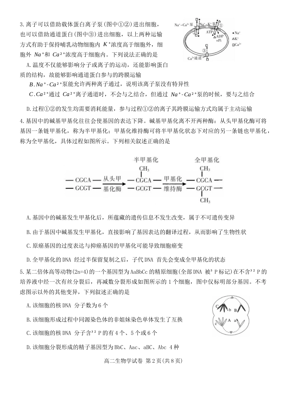 湖南省郴州市2023-2024学年高二下学期期末考试生物试题 Word版含解析.docx_第2页