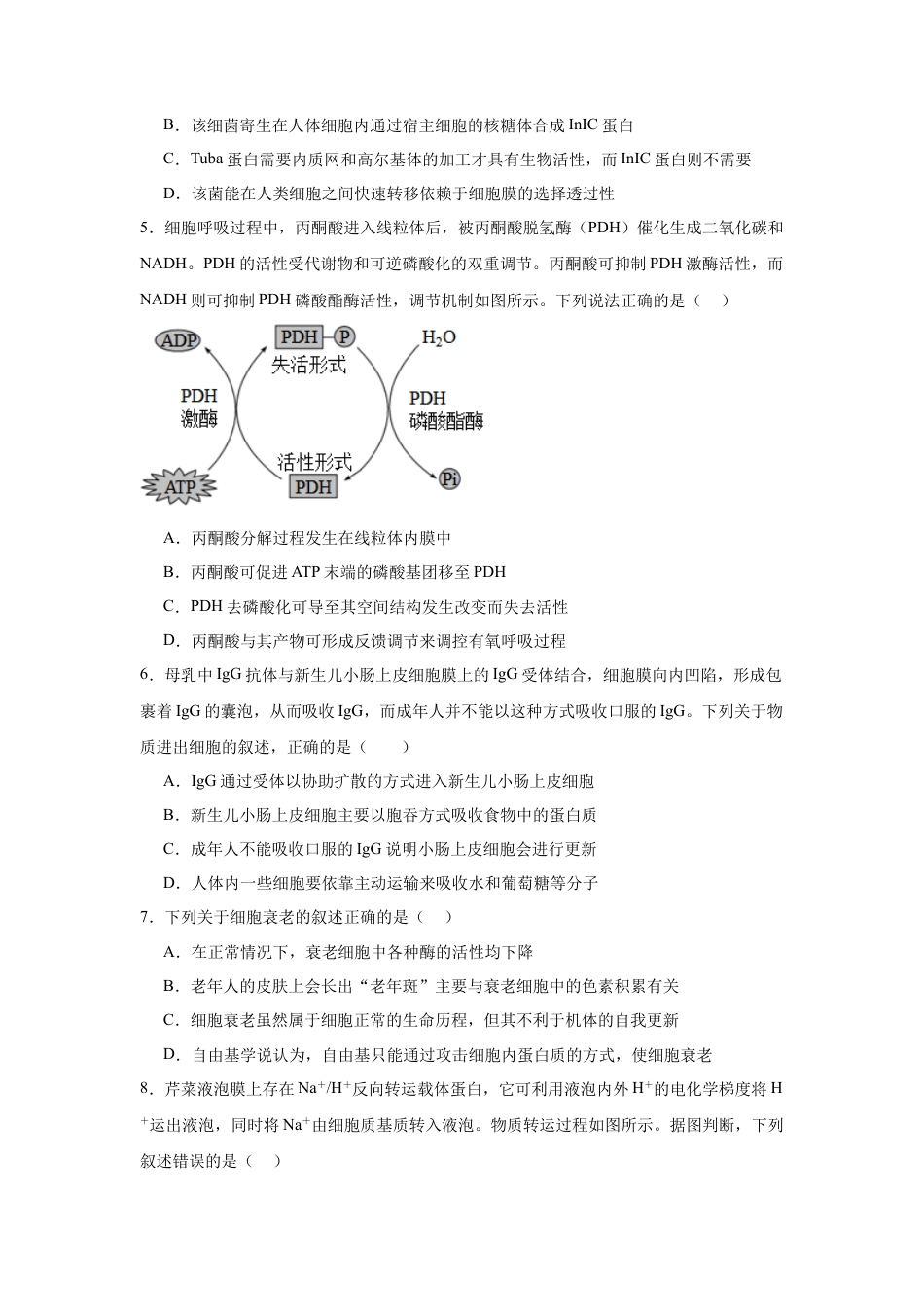 湖南省岳阳市临湘市2024-2025学年高三上学期11月期中生物试题 Word版含答案.docx_第2页