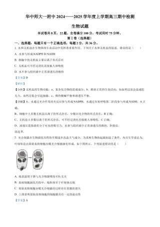精品解析：湖北省武汉市东西湖区华中师范大学第一附属中学2024-2025学年高三上学期11月期中生物试题（解析版）.docx