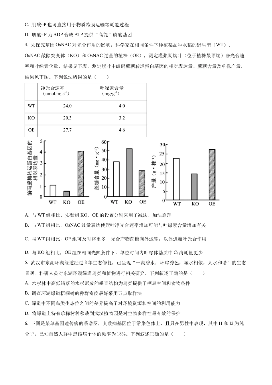 精品解析：湖北省武汉市东西湖区华中师范大学第一附属中学2024-2025学年高三上学期11月期中生物试题（原卷版）.docx_第2页