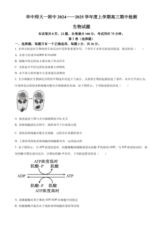 精品解析：湖北省武汉市东西湖区华中师范大学第一附属中学2024-2025学年高三上学期11月期中生物试题（原卷版）.docx