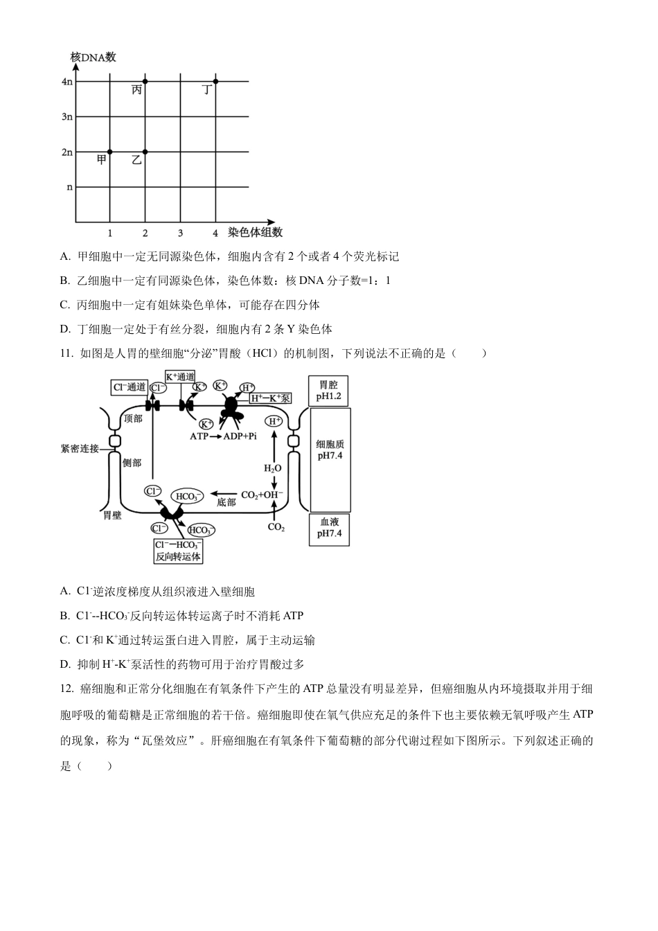 辽宁省大连市滨城高中联盟2024-2025学年高三上学期期中考试生物.docx_第3页