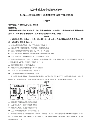 辽宁省沈阳市郊联体2024-2025学年高三上学期11月期中生物试题（含答案）.docx