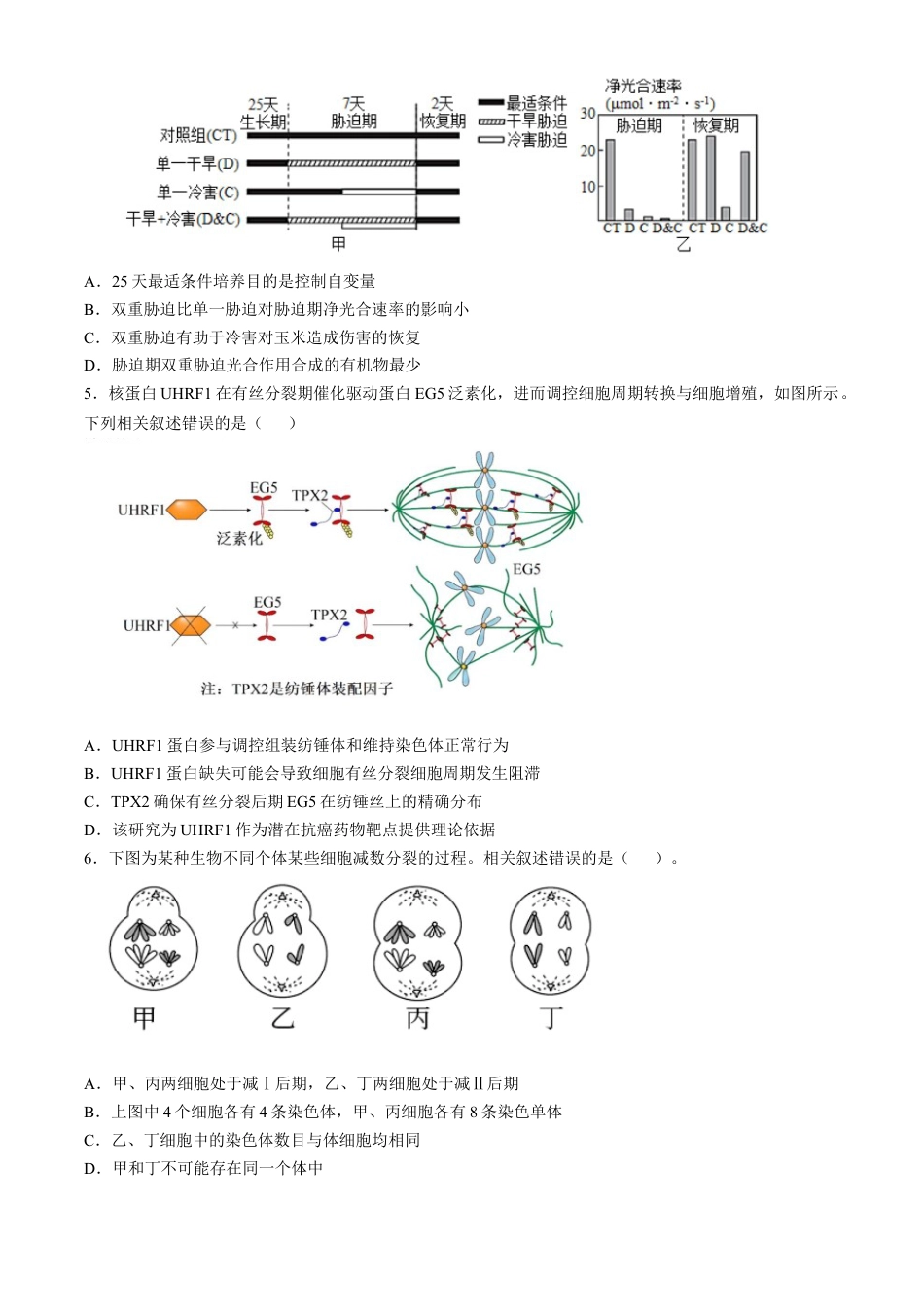 辽宁省实验中学2024-2025学年高三上学期10月月考生物试题(含答案）.docx_第2页