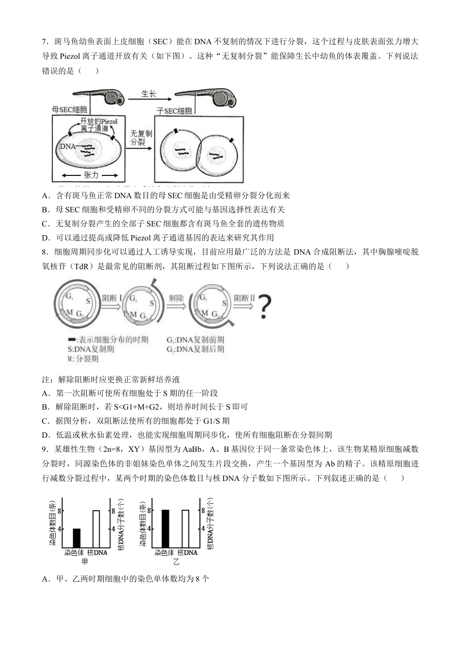 辽宁省实验中学2024-2025学年高三上学期10月月考生物试题(含答案）.docx_第3页