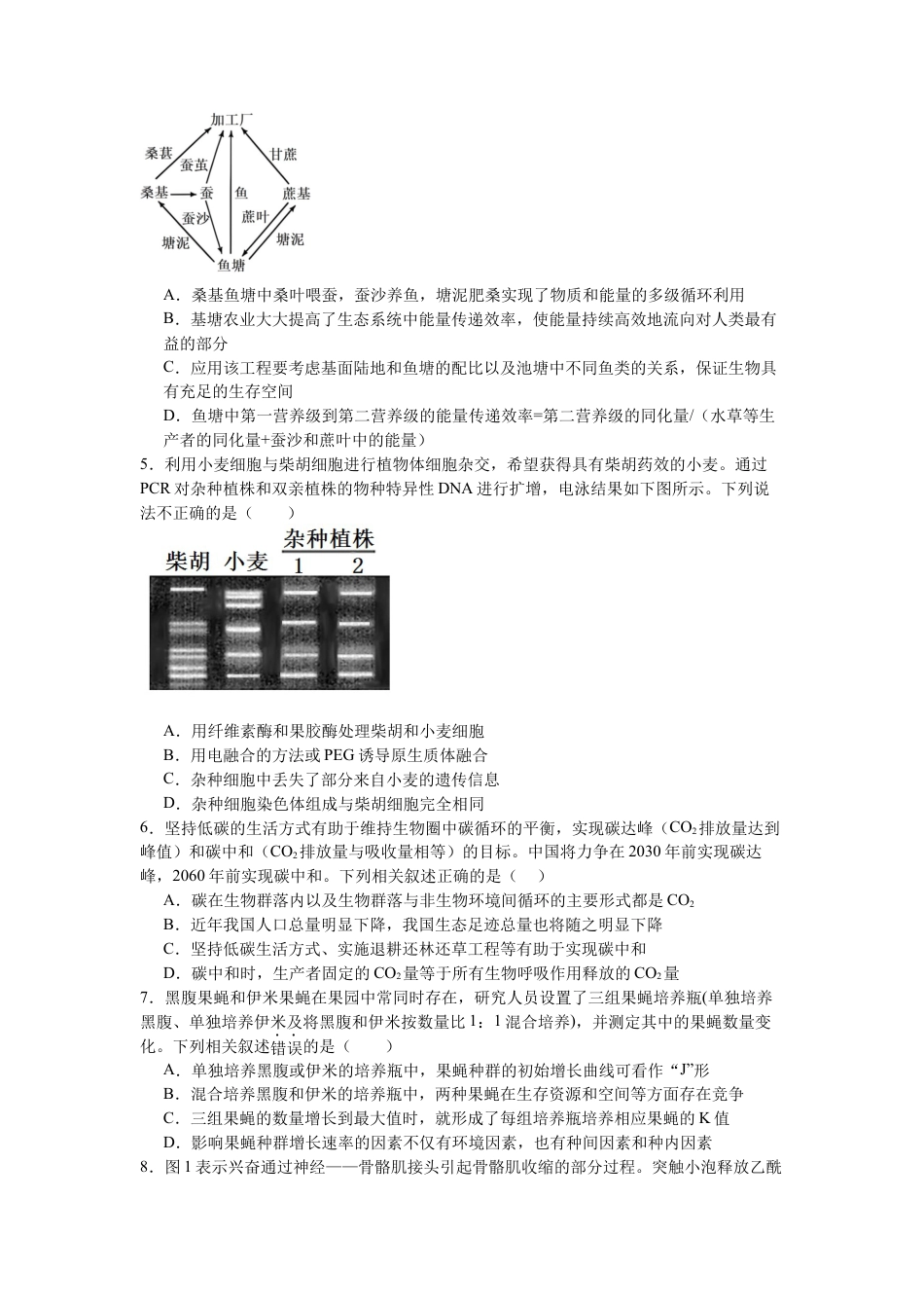 南昌十九中2024-2025学年第二学期2月月考高三生物+答案.docx_第2页