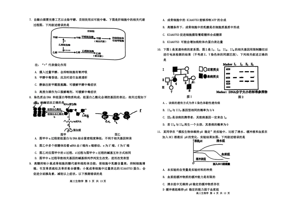 内蒙古赤峰市2024-2025学年高三11月模拟考试生物试题_生物(3).docx_第2页