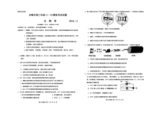内蒙古赤峰市2024-2025学年高三11月模拟考试生物试题_生物(3).docx