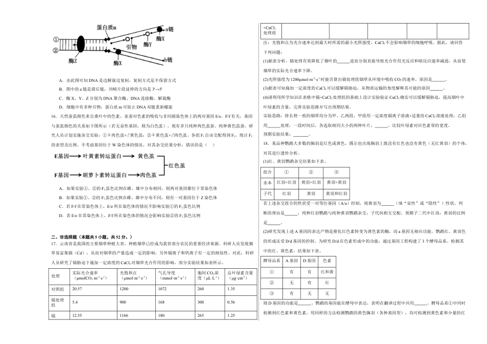 宁夏石嘴山市第一中学2024-2025学年高三上学期1月期末生物.docx_第3页