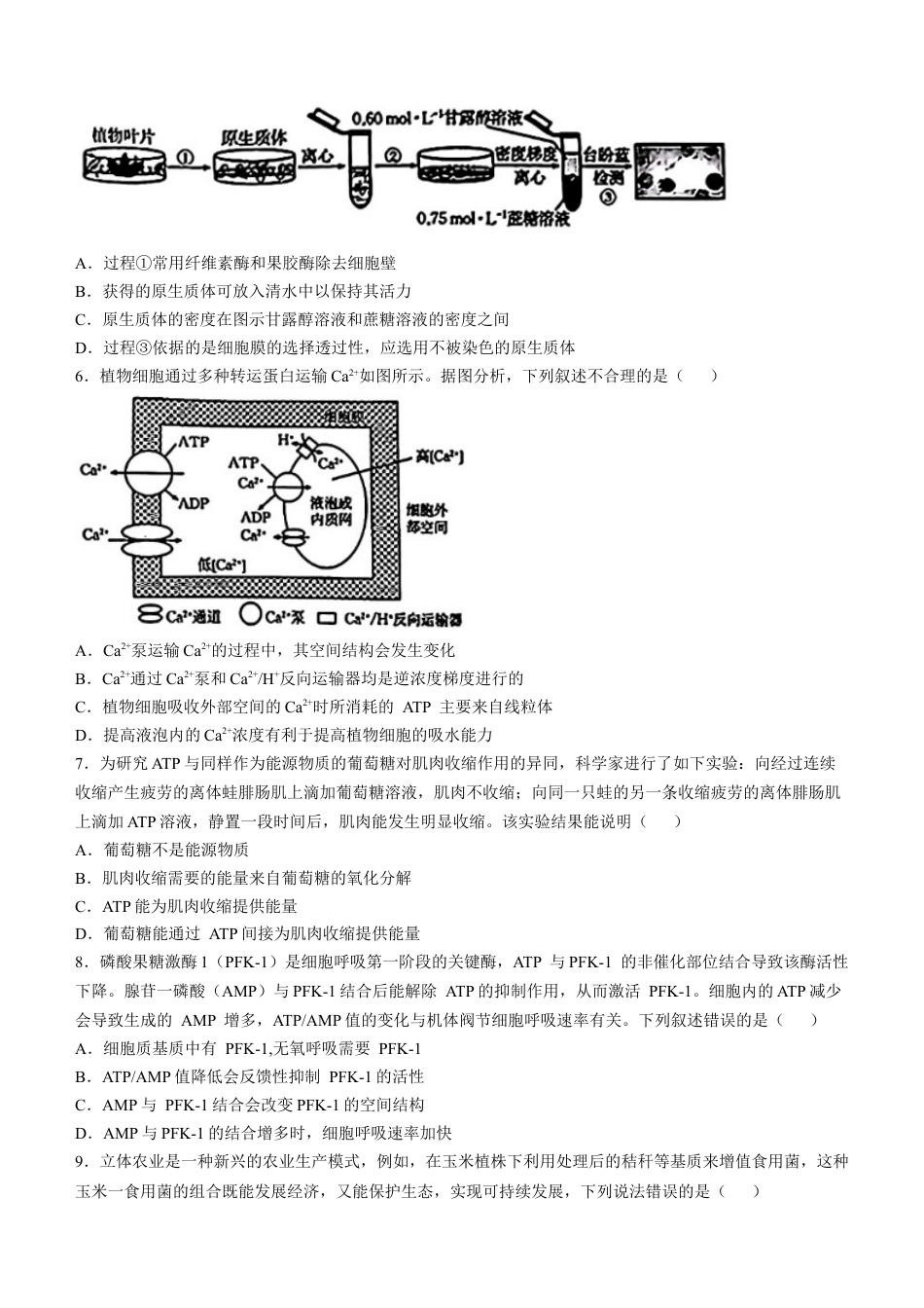 青海省2024-2025学年高三上学期期中联考生物试题（含答案）.docx_第2页