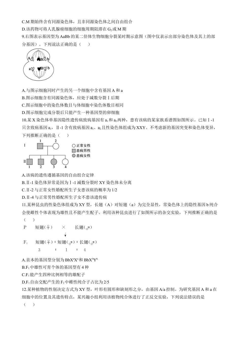 山东省德州市2024-2025学年高三上学期期中考试生物试题.docx_第3页