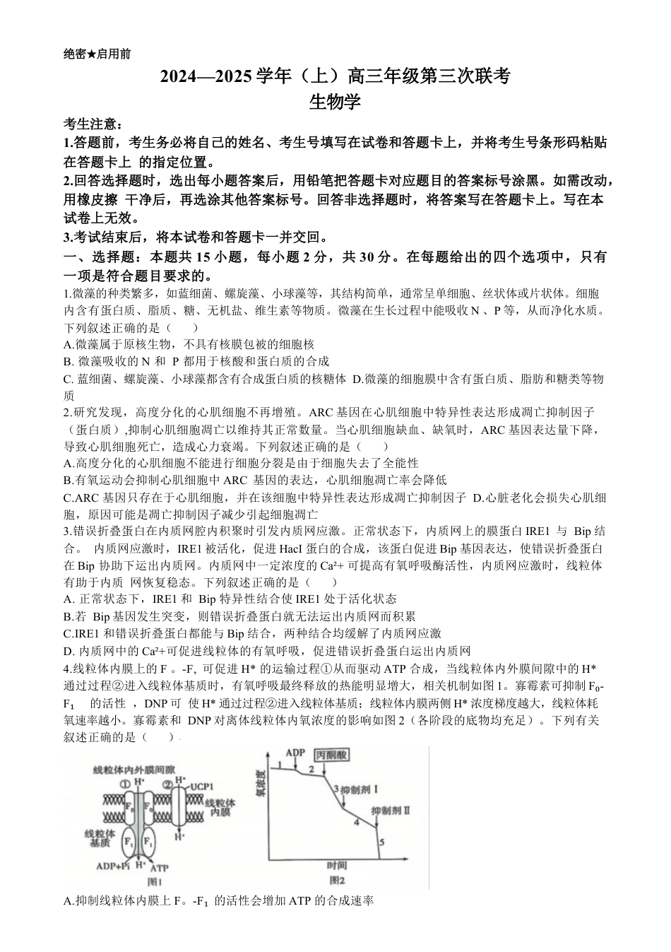 山东省齐鲁名校联盟大联考2024-2025学年高三上学期12月月考 生物试题（含答案）.docx_第1页